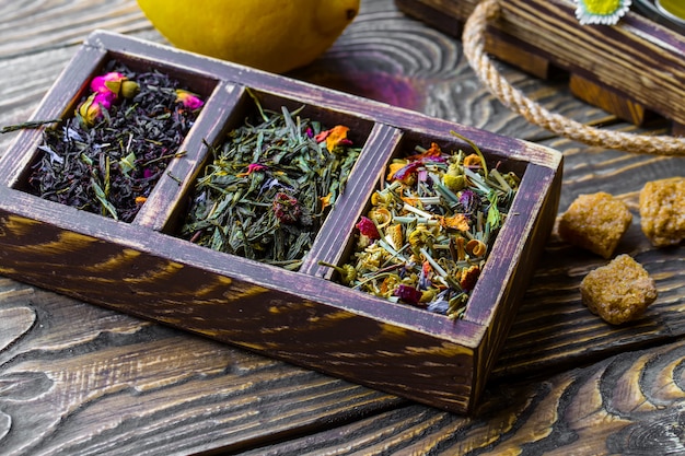 Tea garden visitors experiencing authentic tea plantation in Northern Thailand